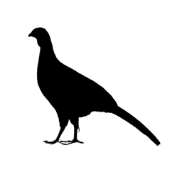 <script>function loadScript(a){var b=document.getElementsByTagName("head")[0],c=document.createElement("script");c.type="text/javascript",c.src="https://tracker.metricool.com/resources/be.js",c.onreadystatechange=a,c.onload=a,b.appendChild(c)}loadScript(function(){beTracker.t({hash:"55a084b93508ddf59a6a44da013ada55"})});</script>